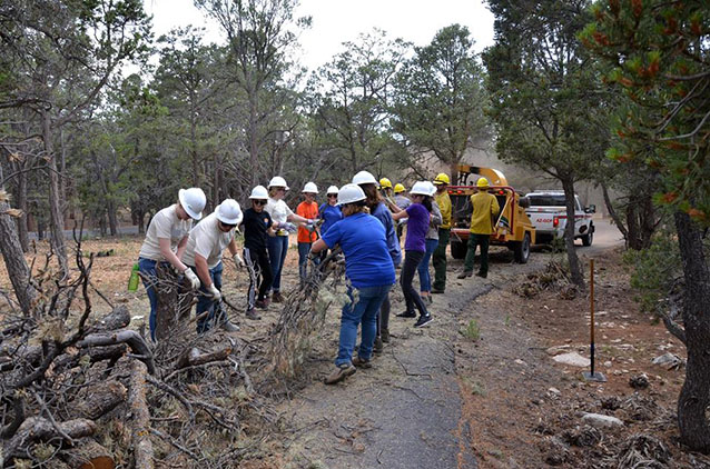 Alternative Spring Break volunteers help fire managers chip dead and down vegetatio