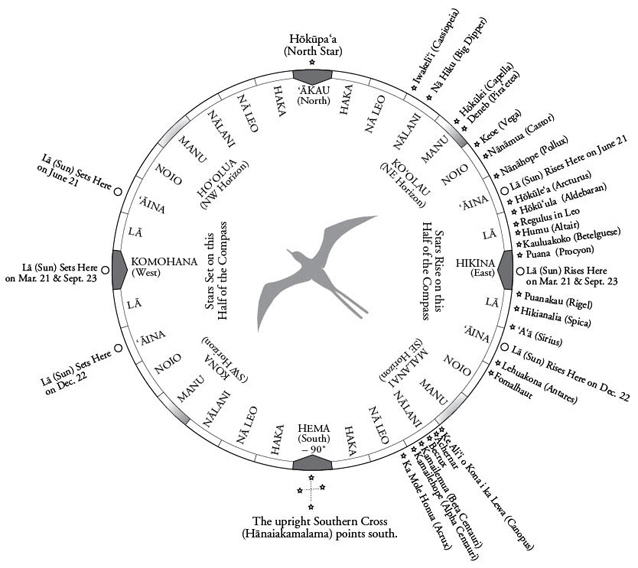 Nainoa Thompson's Star compass shows relationships among stars. Nainoa Thompson's Star compass shows relationships among stars.