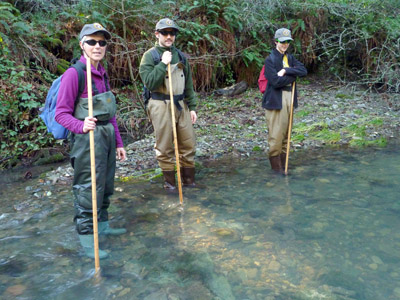 Three volunteers hike upstream counting coho spawners