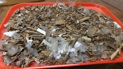 Unsorted sample of animal remains Unsorted sample of animal remains