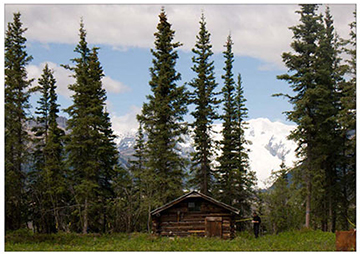 Mudhole Smith's cabin (NPS Cultural Landscapes Program, 2010)