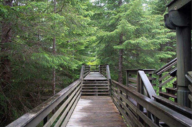 Southwest boardwalk of Glacier Bay Lodge (C. Welzenbach, NPS Cultural Landscapes Program, 2011) Southwest boardwalk of Glacier Bay Lodge (C. Welzenbach, NPS Cultural Landscapes Program, 2011)