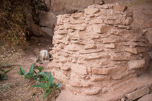 a round, stone structure with green plants at the base