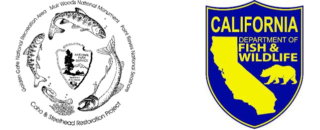 Coho & Steelhead Restoration Project and CA Department of Fish and Wildlife logos Coho & Steelhead Restoration Project and CA Department of Fish and Wildlife logos