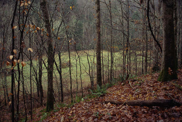 West field at Parch Corn Creek Farmstead (P.C.C. Farmstead: CLI, NPS, 1998)