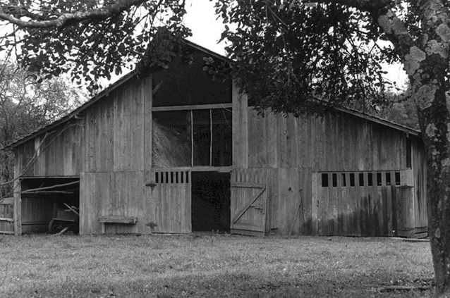 A leafy tree overhangs a wooden barn at Blevins Farm, 1963 (NPS)