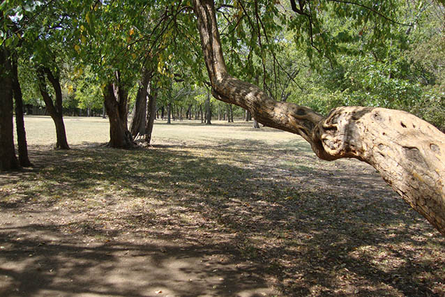 Walnut Grove (NPS) Walnut Grove (NPS)