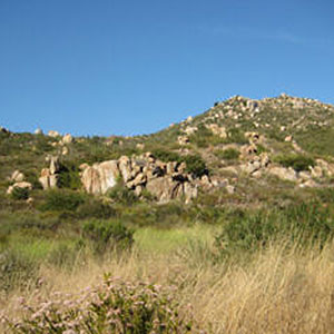 Rancho Jamul, una concesión Mexicana de tierras públicas 