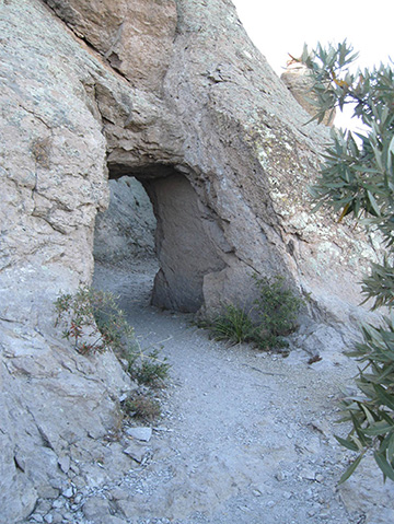 Tunnel created along trail system (J. Cowley, NPS) Tunnel created along trail system (J. Cowley, NPS)