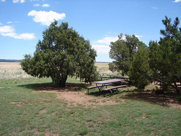 Picnic area of visitor center (Mission 66 Visitor Center Site: CLI, NPS, 2010)