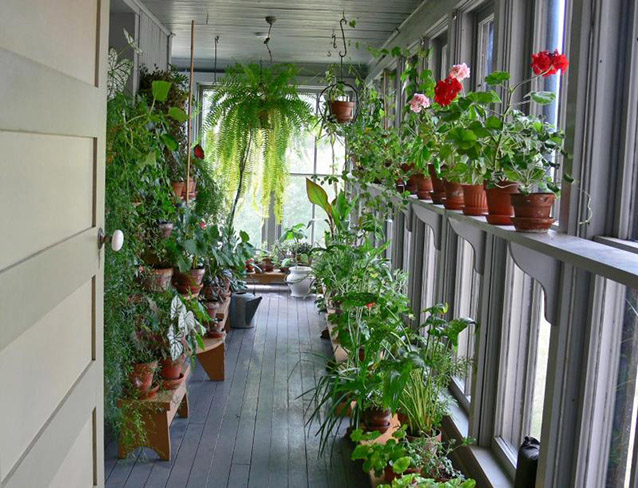 Winter garden in Kohrs Ranch House (NPS) Winter garden in Kohrs Ranch House (NPS)