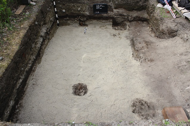 Sandy soil with darker colored depressions