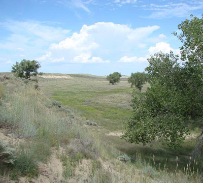 Looking across the landscape where Big Sandy Creek sometimes flows Looking across the landscape where Big Sandy Creek sometimes flows