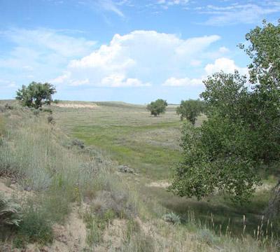 Looking across the landscape where Big Sandy Creek sometimes flows