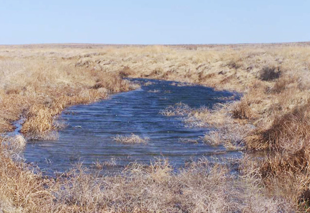 Wetland reflecting the blue of the sky in a field of dried, yellowed grass.