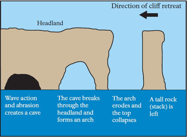 Formation of coastal erosional features.