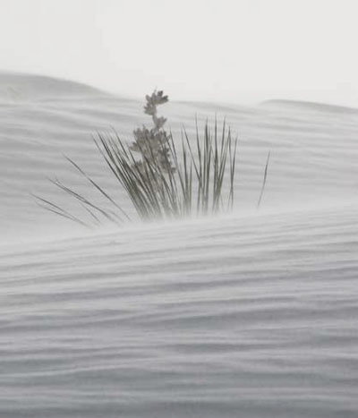 Close-up of sand/dust blowing along the surface of gypsum dunes Close-up of sand/dust blowing along the surface of gypsum dunes