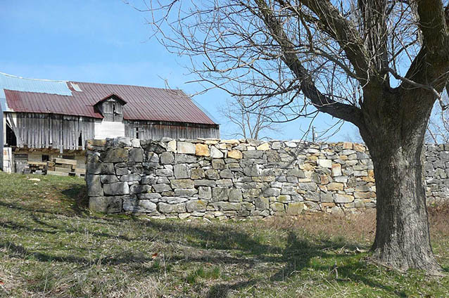 A leafless tree beside a stone wall, in front of a wooden barn on a rural landscape