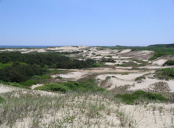 Cape Cod National Seashore, Massachusettes Cape Cod National Seashore, Massachusettes