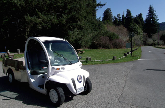 small electrical vehicle being used in a park