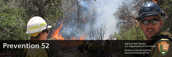 wildland firefighters at work outside on a wild fire