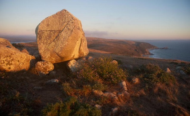 Tomales Point (Point Reyes National Seashore)