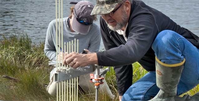Two researchers kneel in a salt marsh and take measurements. Two researchers kneel in a salt marsh and take measurements.