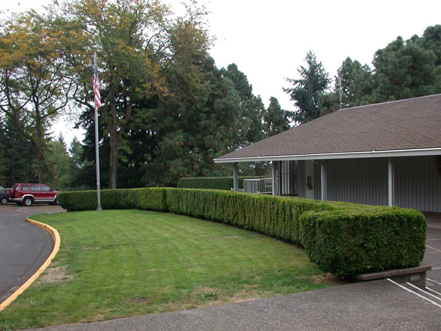 A low, neatly-cut boxwood hedge separates a building from a lawn with a flagpole.