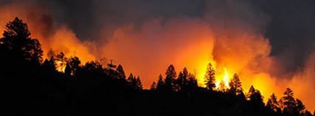 forest fire burning in the distance at night