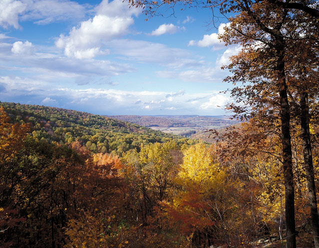 Puffy clouds hang in a blue sky over rolling, wooded hills awash with early fall color.
