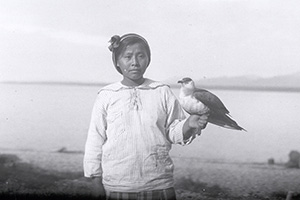 Athabascan girl holding a young jaeger (bird) at Tanalian Point, 1921 Athabascan girl holding a young jaeger (bird) at Tanalian Point, 1921