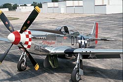 U.S. Army Aircraft P-51D-25NA 44-73287