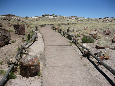 A paved trail, bordered by low log edging, leads through an open landscape.