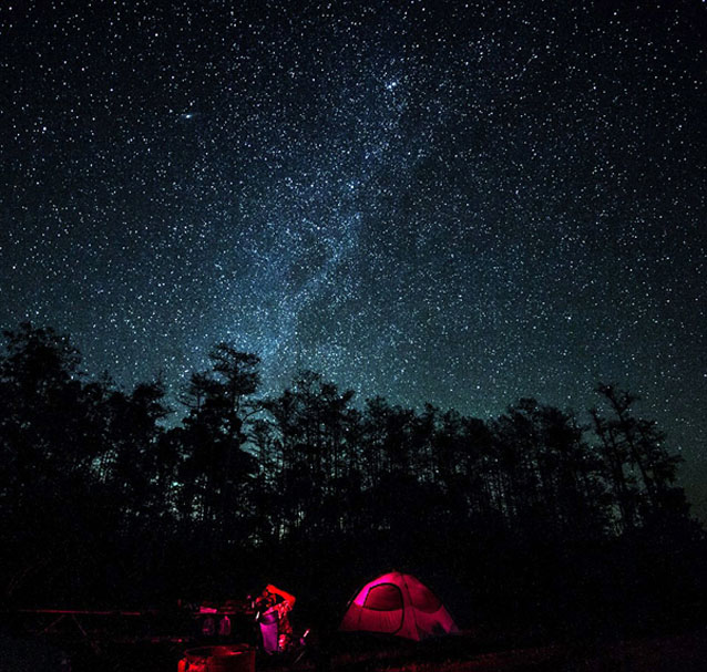 Tent campers under a night sky filled with stars in Big Cypress National Preserve