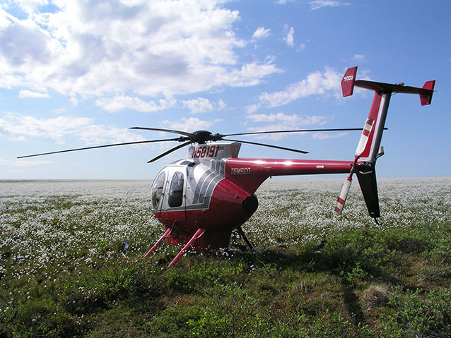 helicopter in a field of cottongrass on a sunny summer day