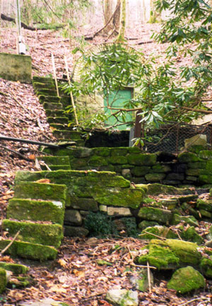 A carpet of moss covers stone steps and a stone wall beside the opening of a well in a hillside.