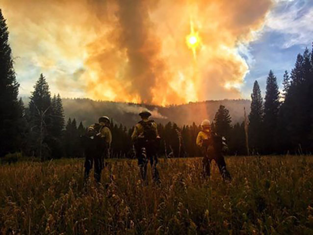 Three firefighters standing in a field, looking into the smoke and sun. Three firefighters standing in a field, looking into the smoke and sun.