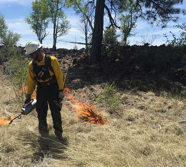 Firefighter ignites a prescribed burn with a driptorch. Firefighter ignites a prescribed burn with a driptorch.