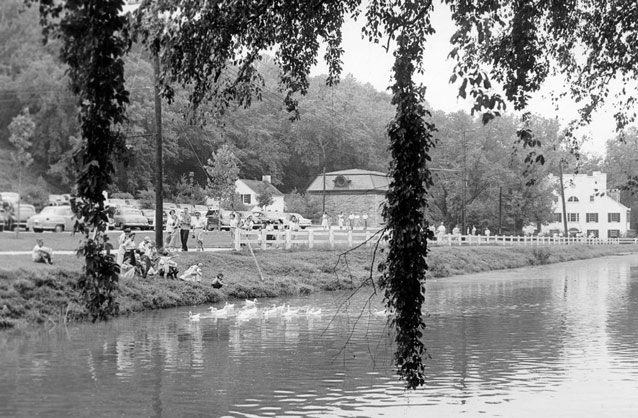 Across still canal water, a group of children feeds ducks. Beyond, trees surround large buildings