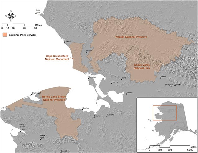 Free large and detailed terrain maps, different biomes/ geographical areas - Community Resources - Developer Forum