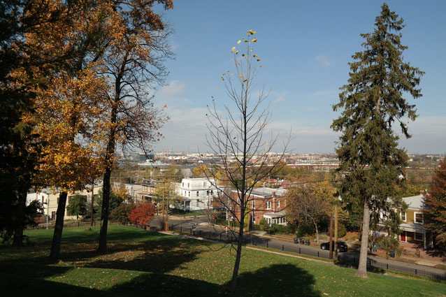 A view from a hilltop on a sunny day towards the city of Washington, D.C. (2015) A view from a hilltop on a sunny day towards the city of Washington, D.C. (2015)