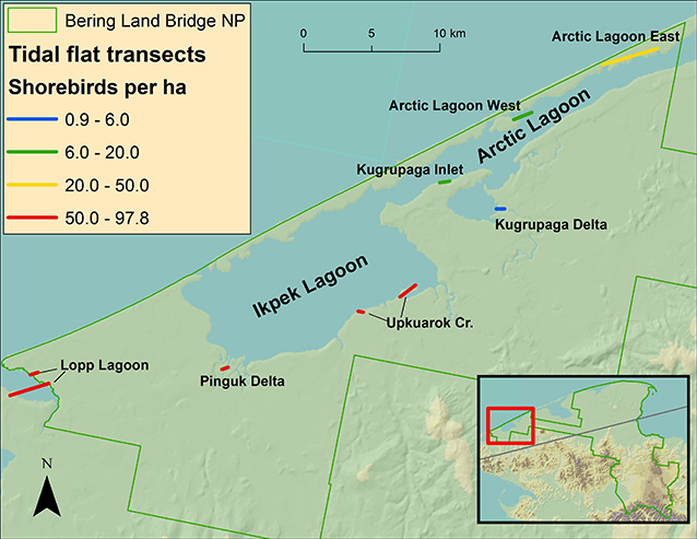 map of a coastline in northwest alaska map of a coastline in northwest alaska