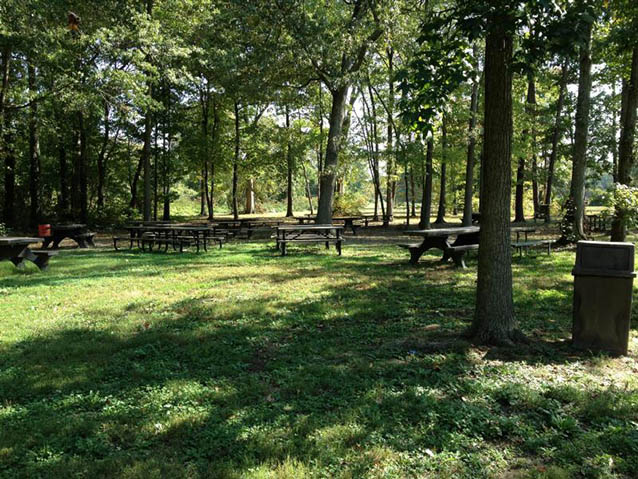 A shaded, grassy picnic area with wooden tables under a tree canopy
