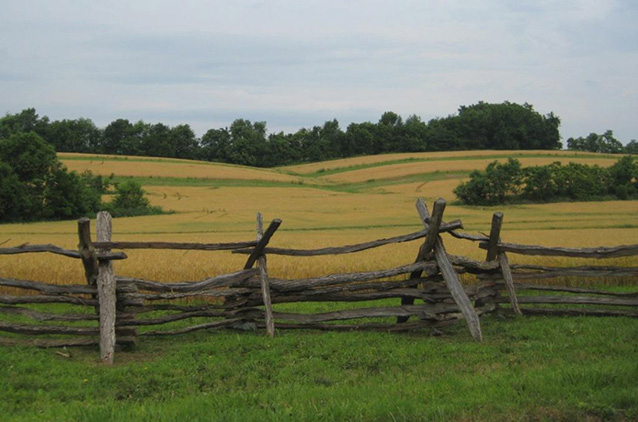 Split rail wooden fencing along the edge of a gently rolling, open field Split rail wooden fencing along the edge of a gently rolling, open field