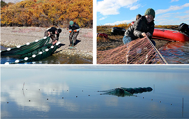 composite of three images of people using various nets and boats in water