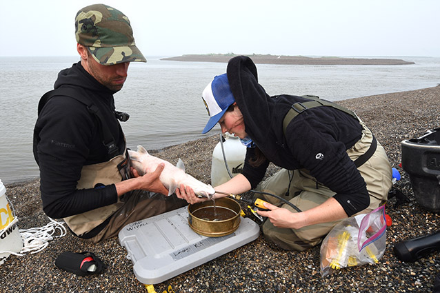 two people on a rocky beach making recordings and looking at a fish