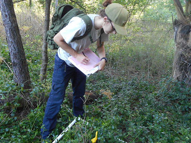 Emily Roberts inventorying a vegetation plot 