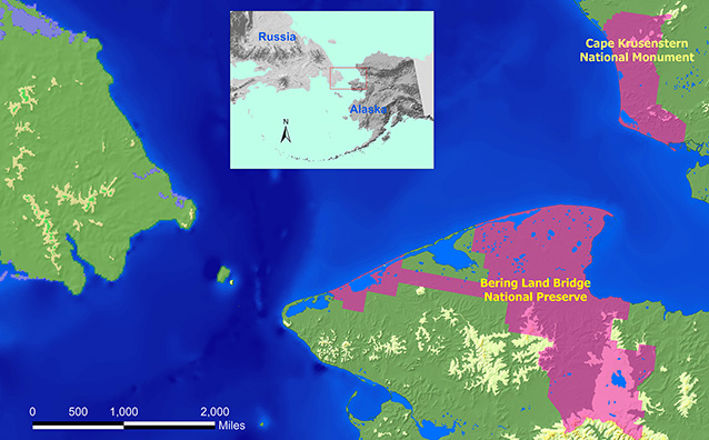 satellite map of northwest alaska with pink areas indicating national park units