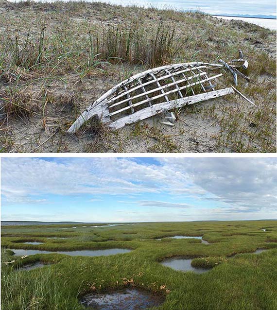 composite of two images, one of a boat frame in beach grass, other of a tree-less marsh