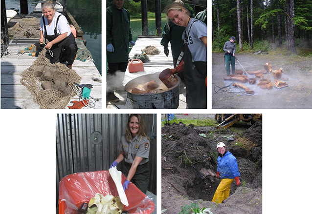 five images showing various stages of separating the whale blubber from its skeleton